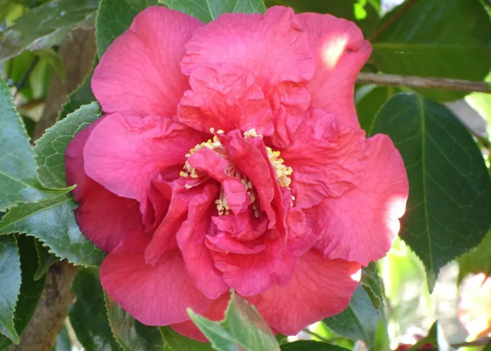 Bellavista By Fewotessin Apartman