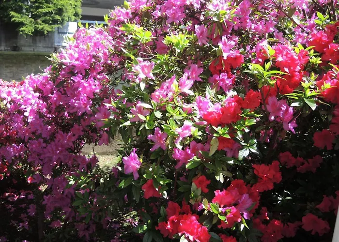 Bellavista By Fewotessin * Locarno