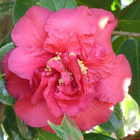 Bellavista By Fewotessin דירה