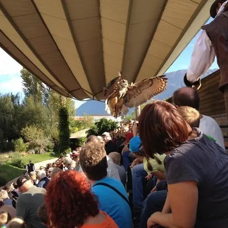 Bellavista By Fewotessin *